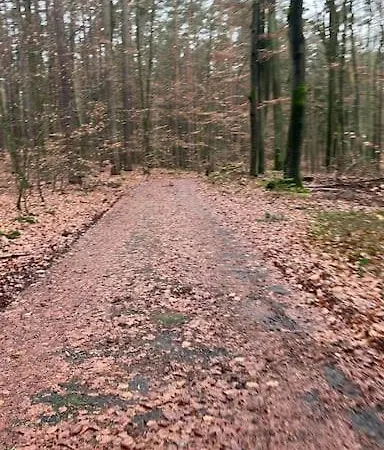 Ferienhaus Im Grunen In Der Nahe Von Berlin Hébergement de vacances *